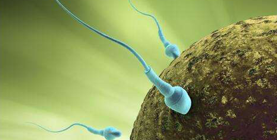 受孕几天能测出来怀孕有什么反应