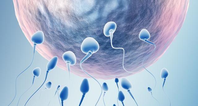 受孕