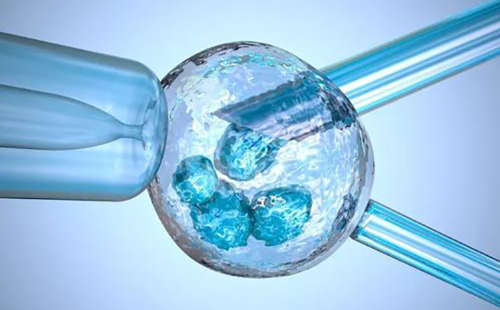 受孕后最早几天胸疼