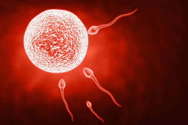 受孕多久能看到孕囊