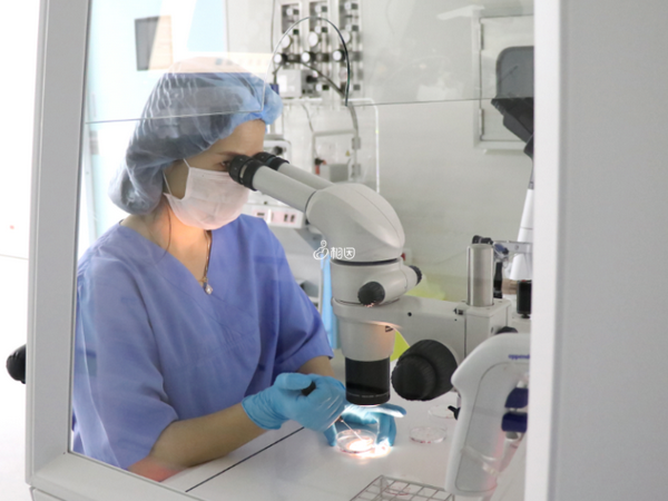 受孕多少天可以查出来