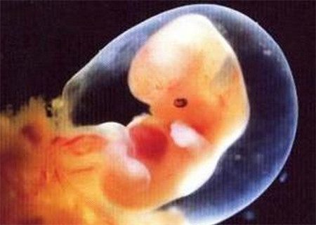 怀孕早早孕检测