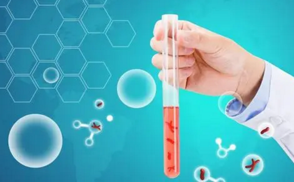 受孕多久b超能看出来