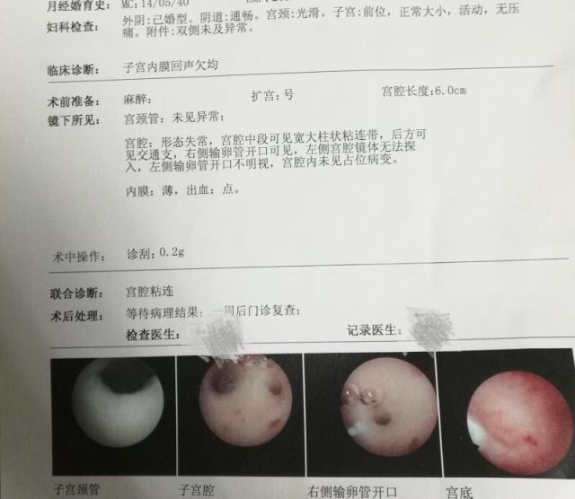 受孕多久可以测试出来怀孕