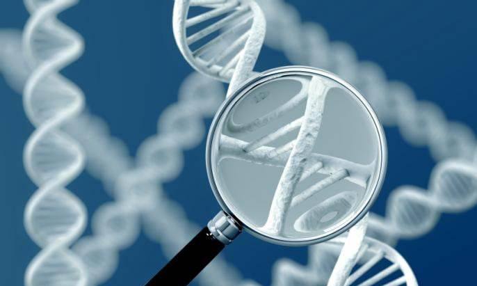 受孕几天可查出来