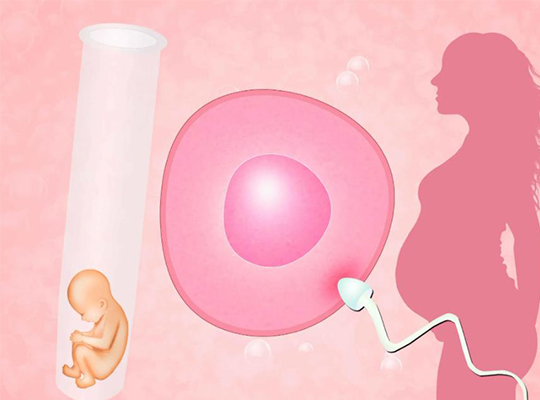 受孕多久才能测出