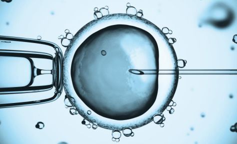 受精卵着床出血