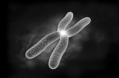 受精卵着床出血