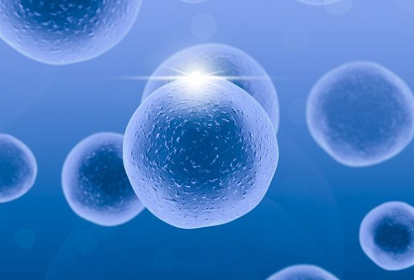 受精卵着床出血