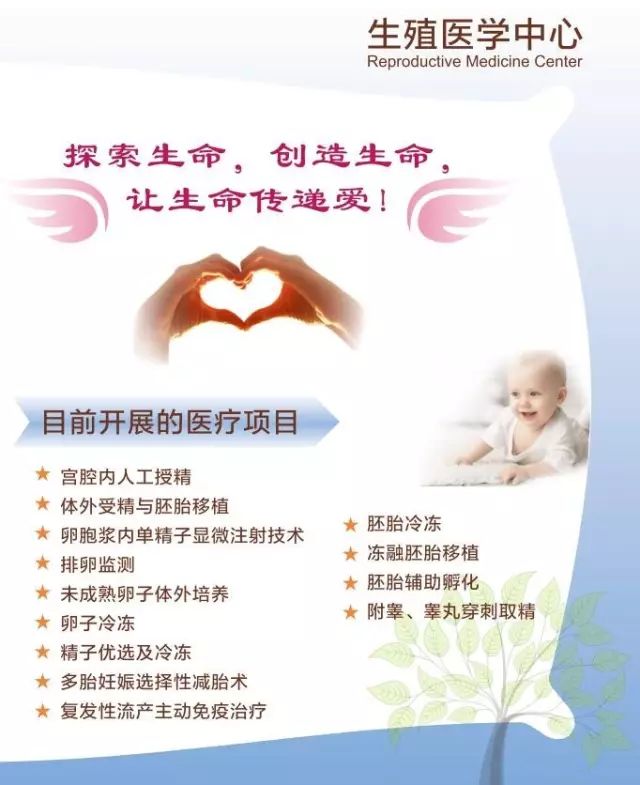 受精卵着床出血