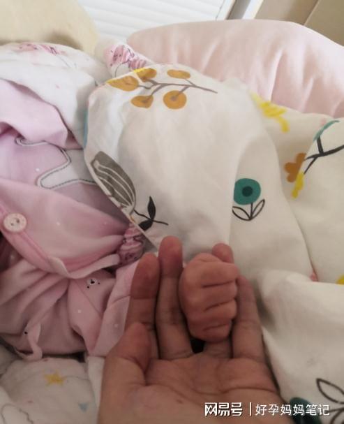 受精卵着床出血