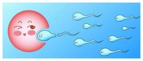 受精卵着床出血