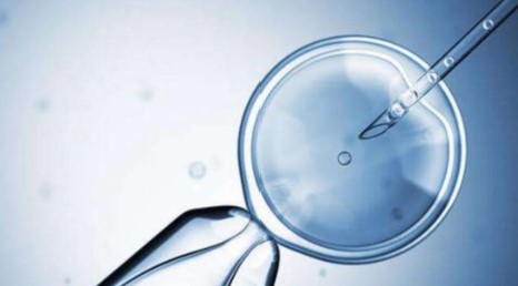 受精卵着床出血