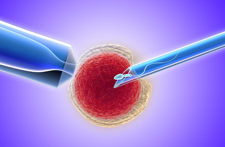 受精卵着床出血