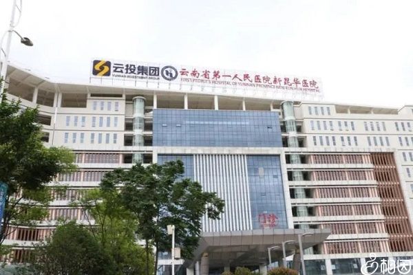 受精卵着床出血