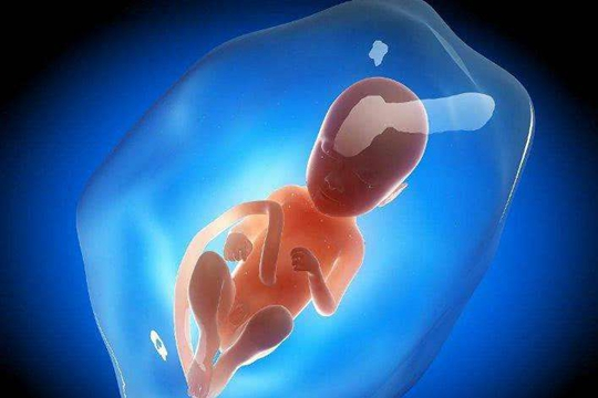 受精卵着床出血