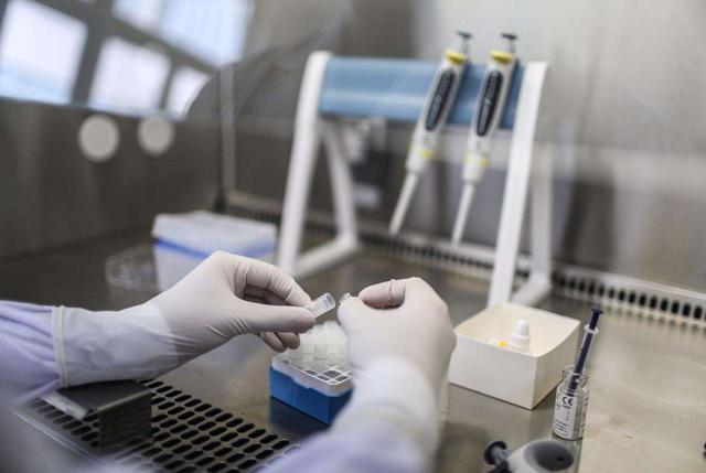 受精卵着床出血