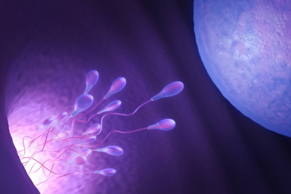 受精卵着床出血