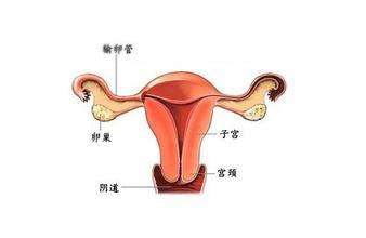 长时间只在外面蹭