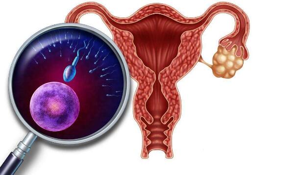 可孚早早孕试纸