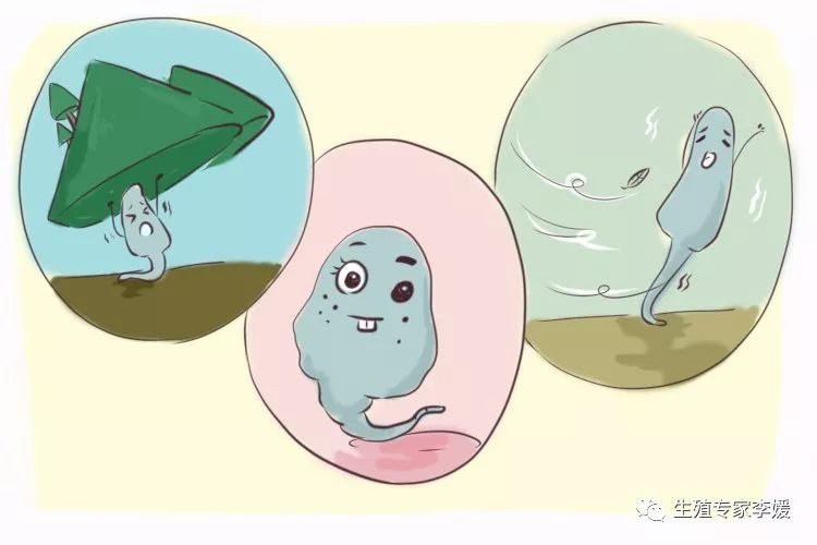 不想怀孕反到怀孕了