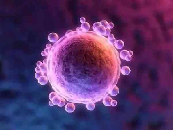 大连第三代试管婴儿