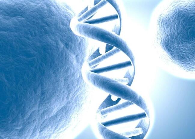 石家庄第三代试管婴儿