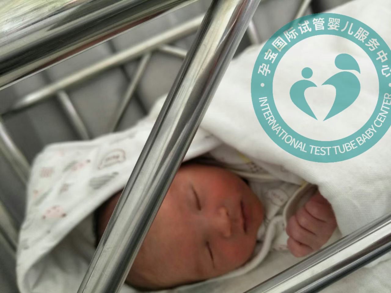 福州试管移植