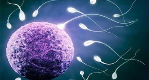 天水捐卵招聘多少钱