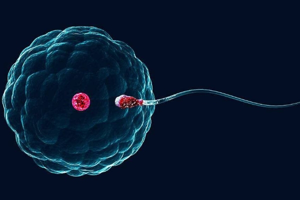 天津有偿捐卵联系方式