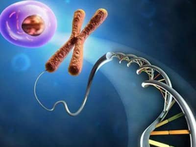 天津找工作招聘信息