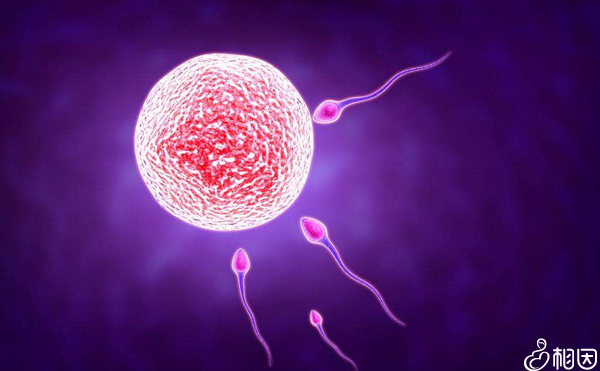 天津招聘捐卵女孩机构