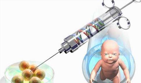 大连试管代怀孕公司